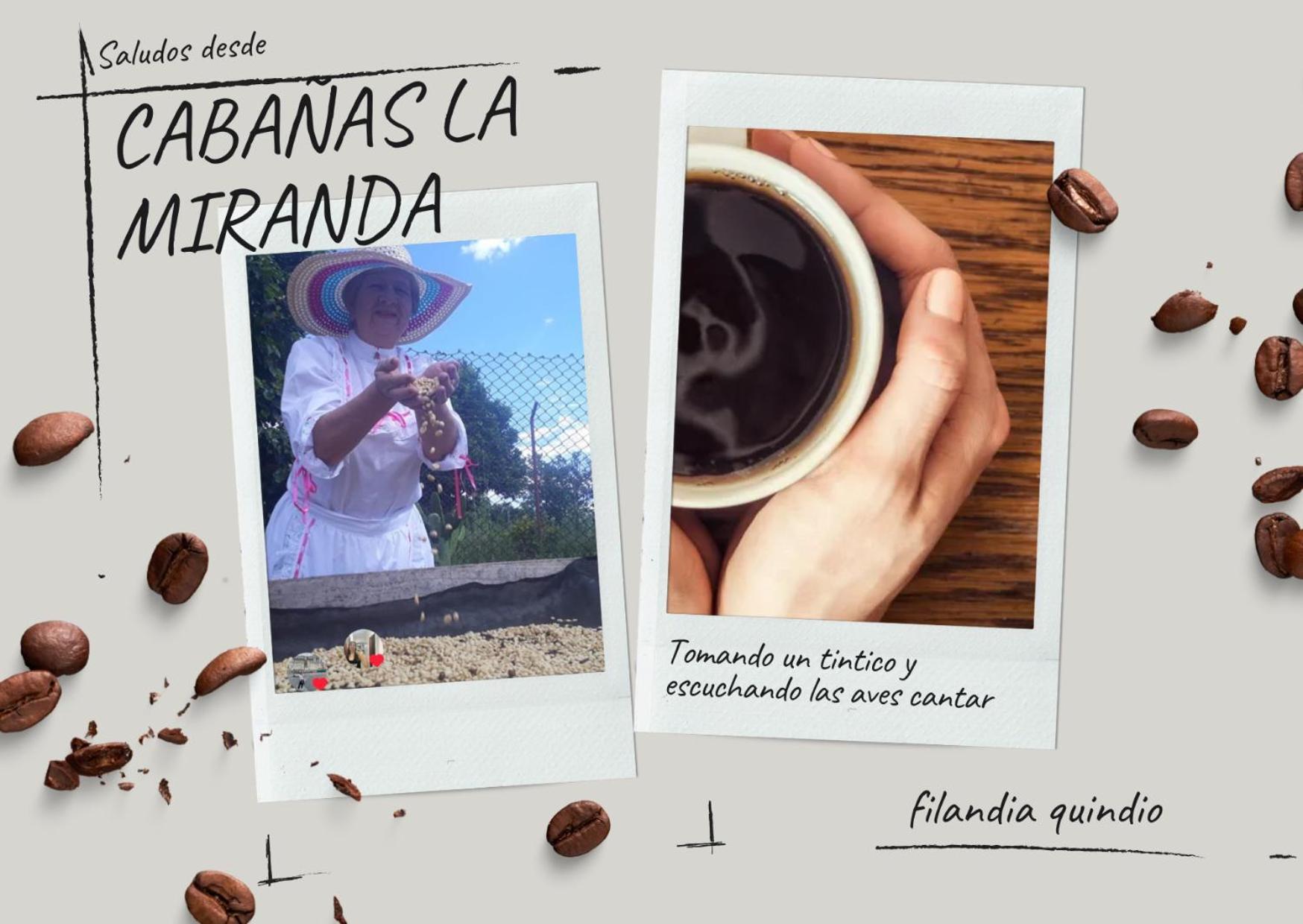 Cabanas La Miranda フィランディア エクステリア 写真