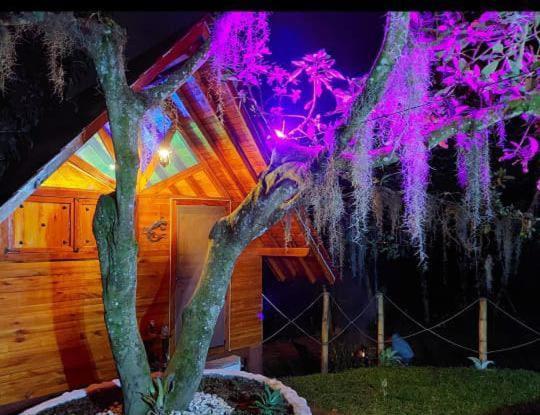 Cabanas La Miranda フィランディア エクステリア 写真